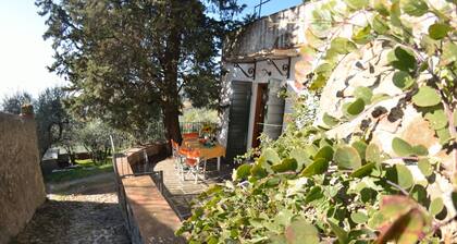 Country House / Farm House in San Gennaro with 2 bedrooms sleeps 4