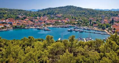 Apartment in Poljana with Seaview, Terrace, Air condition, WIFI (3617-3)