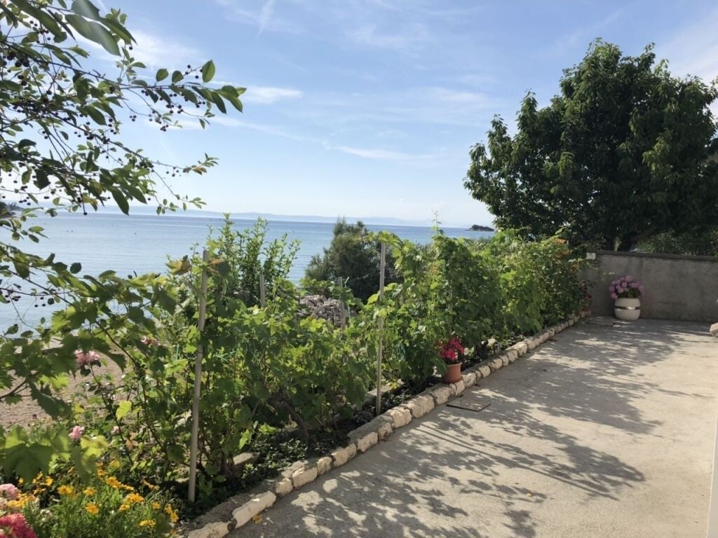 Een tuin met verschillende planten en bloemen, een verhard pad en uitzicht op de zee.
