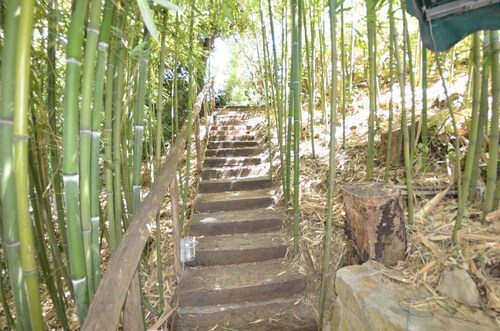 Country House / Farm House in Massarosa with 4 bedrooms sleeps 8