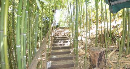 Country House / Farm House in Massarosa with 4 bedrooms sleeps 8