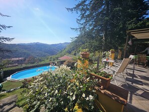 Ein Schwimmbecken, umgeben von üppigem Grün mit Blick auf ferne Berge.