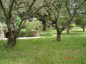 Overnattingsstedets uteområder