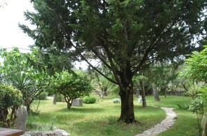 المنطقة المحيطة بالمنشأة