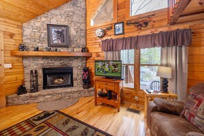 TV, caminetto, lettore DVD, tavolo da ping pong