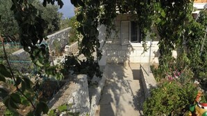 Un chemin de pierres menant à un bâtiment doté d’une fenêtre et de volets, entouré de verdure et d’un mur de pierres.