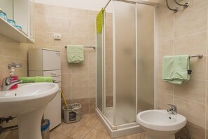 Shower, hair dryer, towels