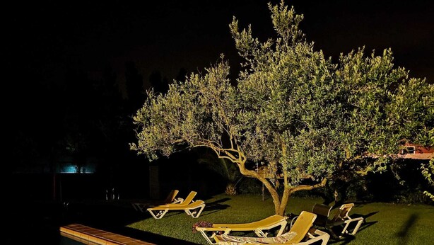 A pool area with lounge chairs and a tree. - Villa Romera Rural Cottage for 25 people (Cardedeu)