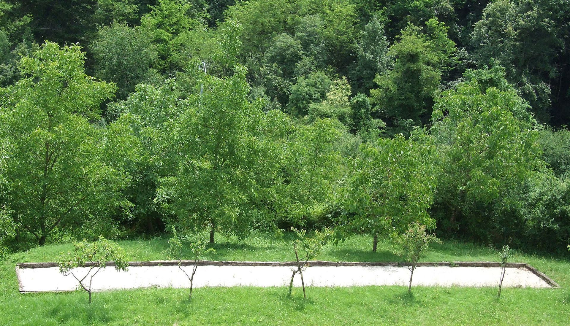 المنطقة المحيطة بالمنشأة