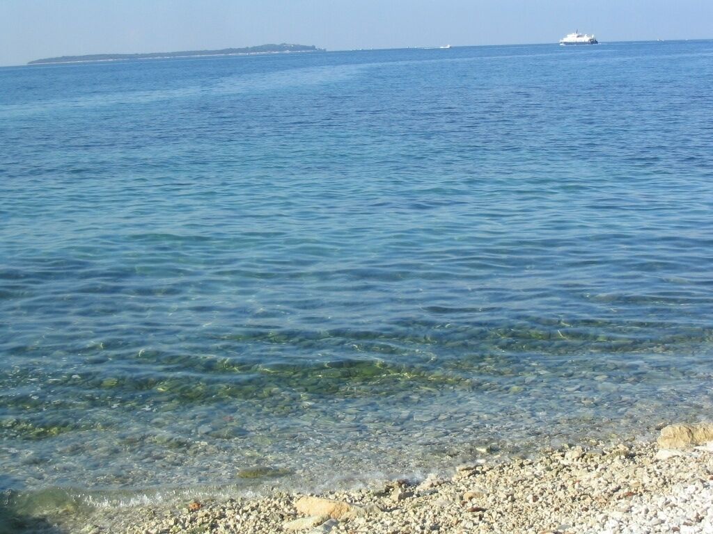 A clear view of a pebble beach with calm water and a distant boat.