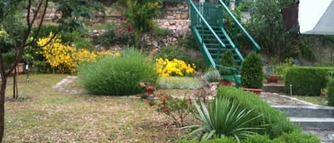 A garden with various plants and a green staircase.