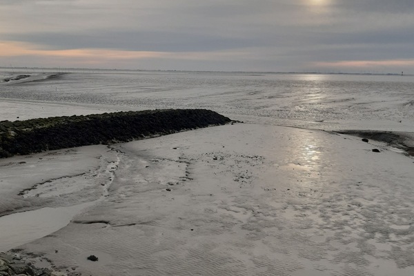 Abendstimmung am Wattenmeer in Wremen