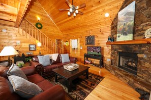 Televisión, chimenea, reproductor de DVD y tenis de mesa 