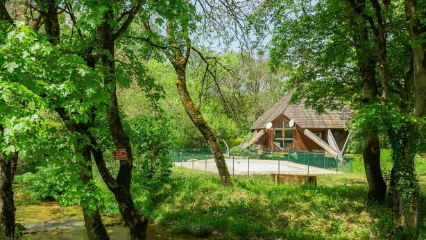 A rustic cabin with a sloped roof, surrounded by dense greenery and a small stream.