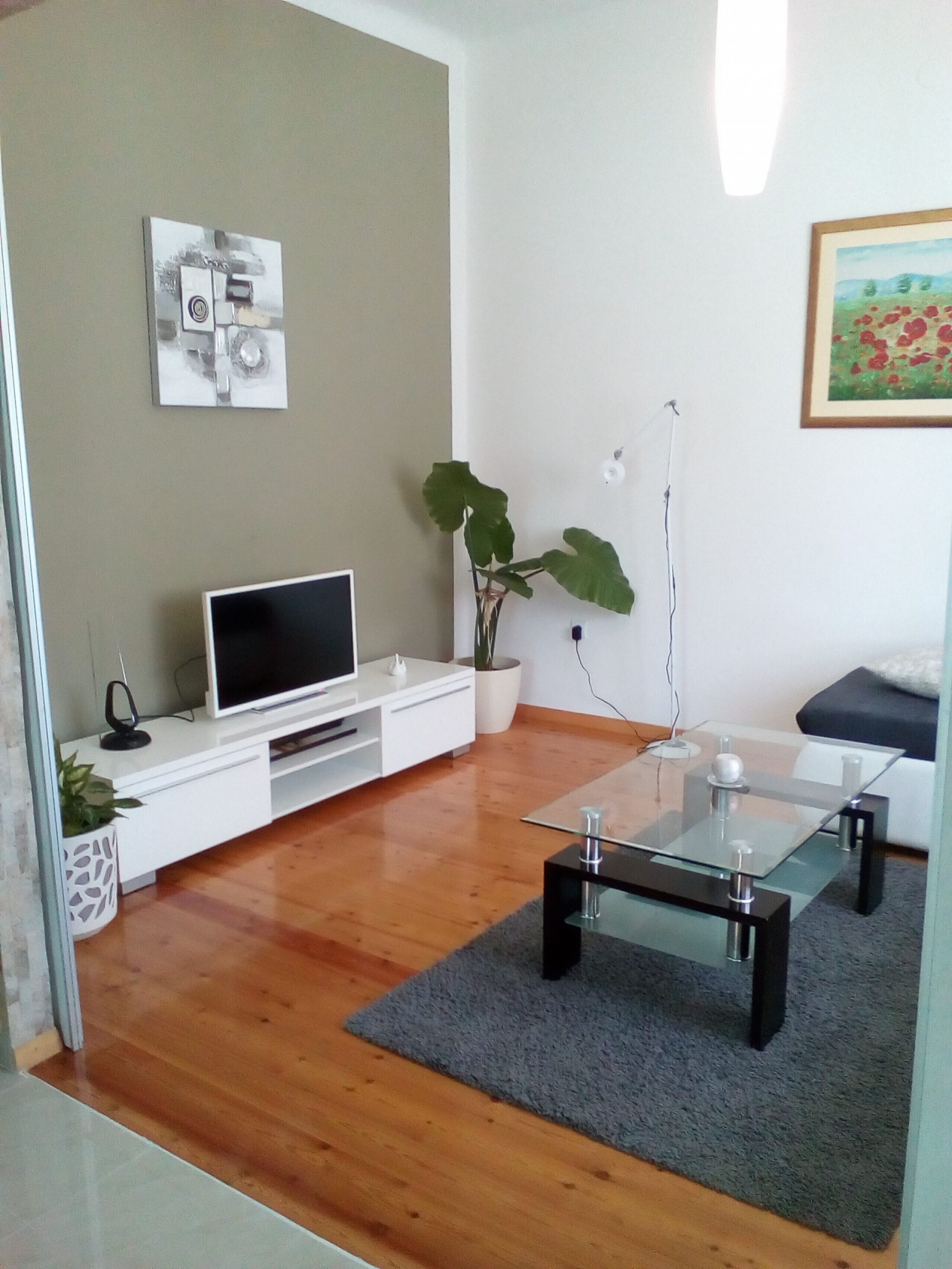 Ein modernes Wohnzimmer mit einem Flachbildfernseher, einer weißen Unterhaltungsecke, einem Glastisch und einer großen Topfpflanze. An der Wand hängt ein gerahmtes Bild.