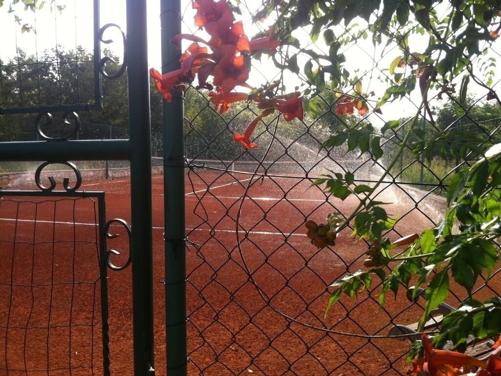 A tennis court with a chain-link fence and a gate.
