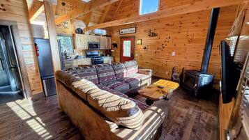 TV, caminetto, videoteca