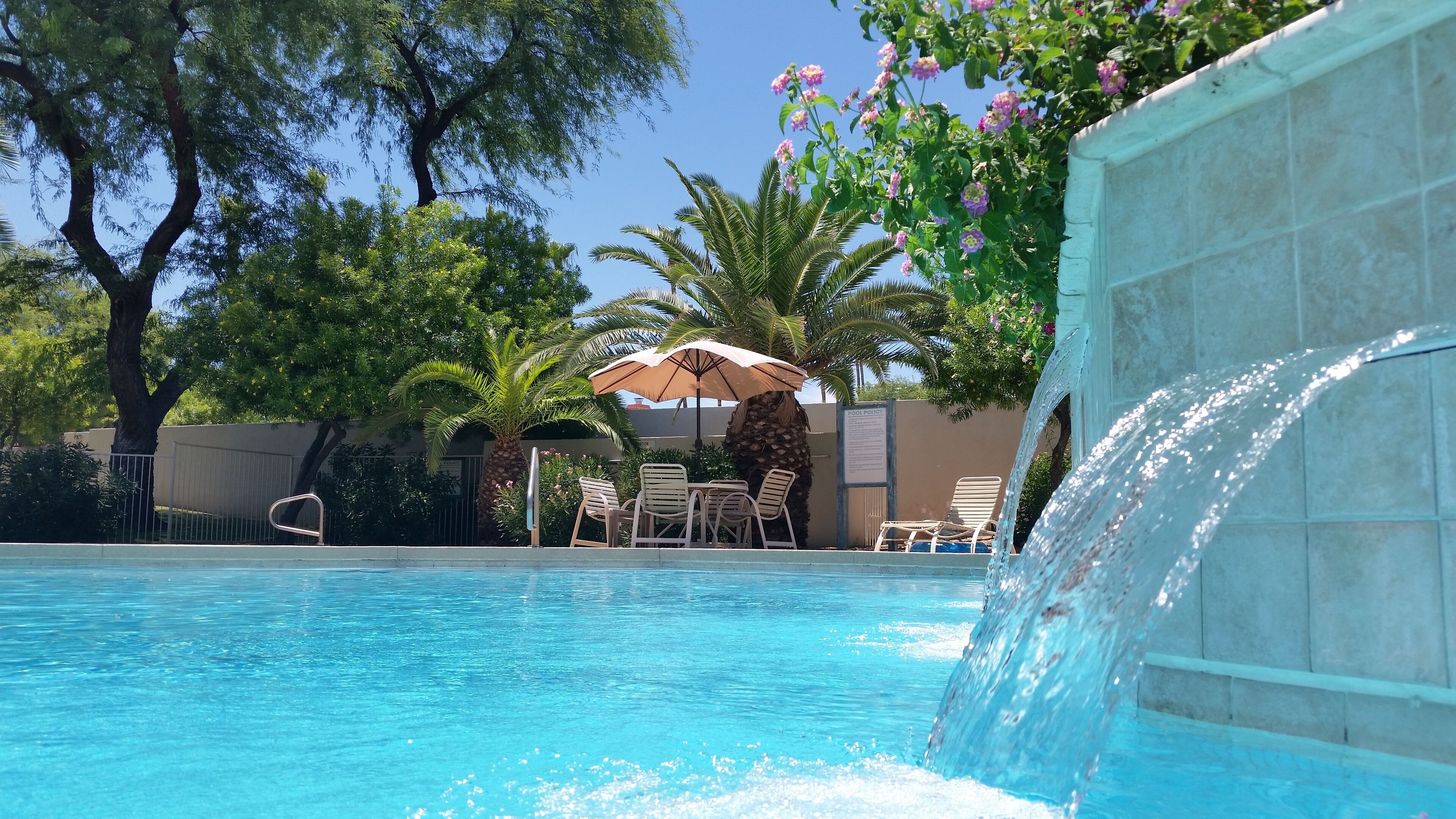 室外泳池、暖水池