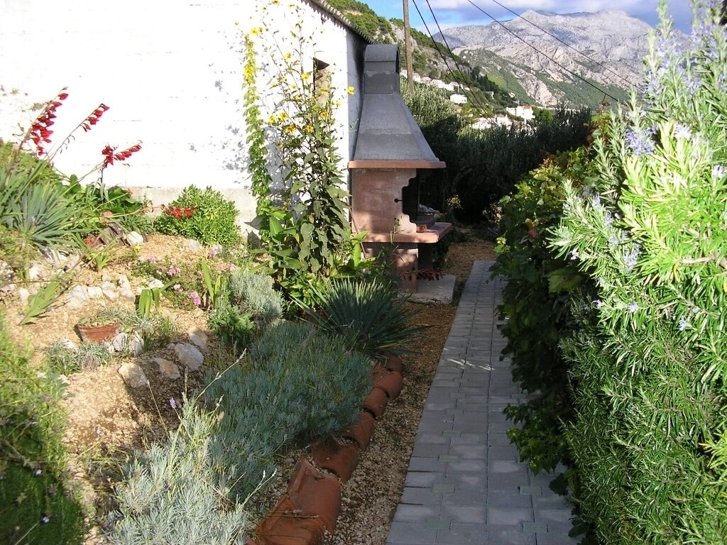 A narrow pathway leading to a stone structure with a chimney, surrounded by various plants and a mountainous backdrop.