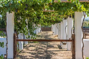 Property grounds - Country Resort in Torre Suda with 2 bedrooms sleeps 4 (Torre Suda)