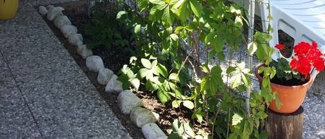 Overnatningsstedets område