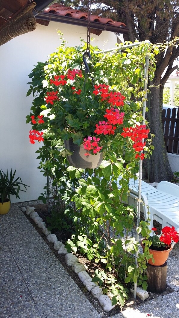 المنطقة المحيطة بالمنشأة