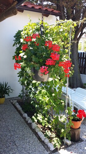 Ferienwohnung in Sabunike mit Terrasse, Klimaanlage, W-LAN (231-2)
