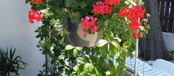 Apartment in Sabunike with Terrace, Air condition, WIFI (231-2)