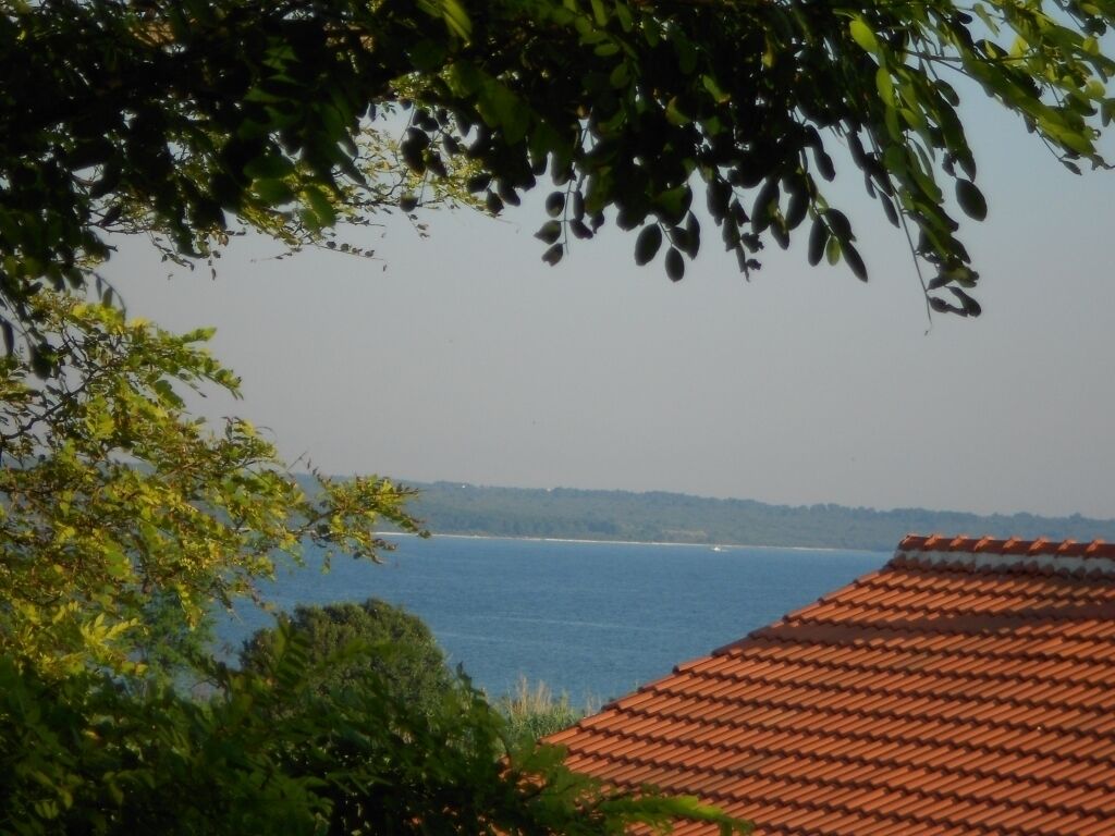 Une vue sur la côte, avec un toit recouvert de tuiles et une étendue d’eau en arrière-plan.