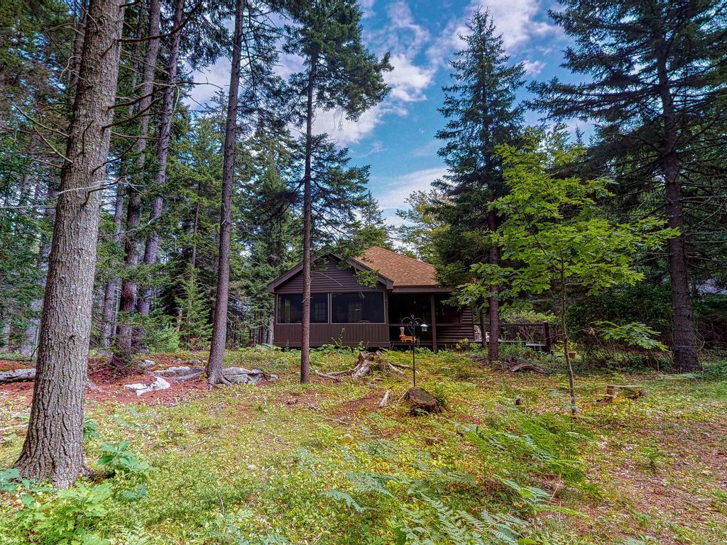 Spacious cabin in a secluded spot within pine woods - close to restaurants