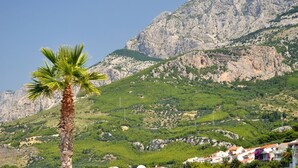 A coastal town with a prominent mountain in the background, a palm tree in the foreground, and buildings with red roofs. - Apartment in Tučepi with Terrace, Air condition, WIFI, Washing machine (202-3) (Tucepi)