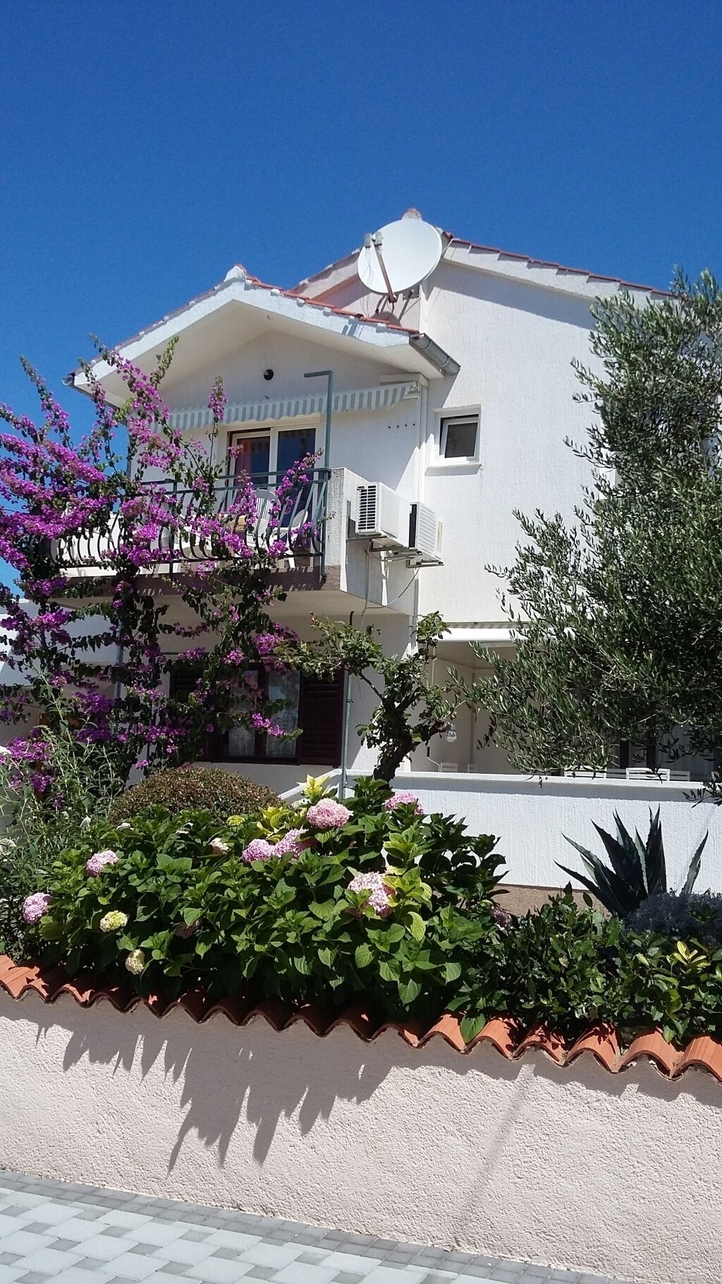 A two-story building with a balcony, surrounded by a variety of plants and flowers.