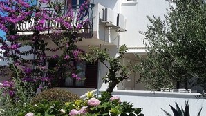 Un bâtiment à deux étages doté d’un balcon, entouré d’une grande variété de plantes et de fleurs.