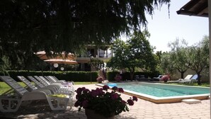 A pool area with lounge chairs and a potted plant.
