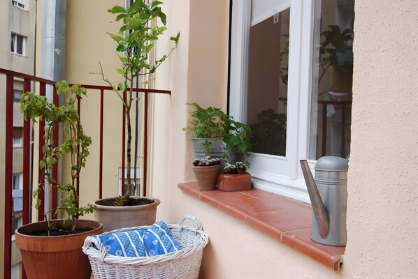 Terrain de l’hébergement 