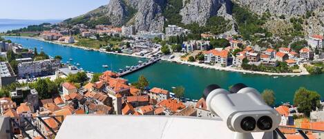 المنطقة المحيطة بالمنشأة