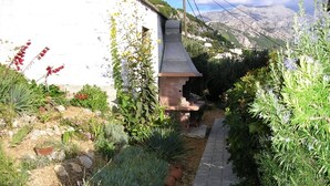 A narrow pathway leading to a stone structure with a chimney, surrounded by various plants and a mountainous backdrop.