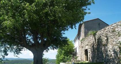 Apartment in Roč with Terrace, Air condition, WIFI, Washing machine (4194-2)