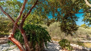 Un sendero de piedra que atraviesa un jardín con árboles y arbustos.