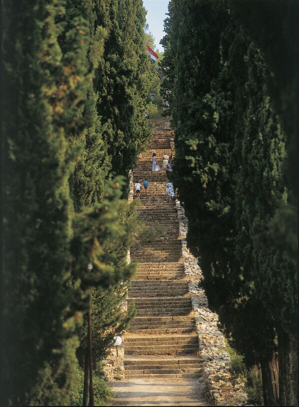 A stone staircase surrounded by trees, leading to a higher elevation.