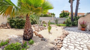 Un giardino con una palma, cactus e un vialetto in pietra.