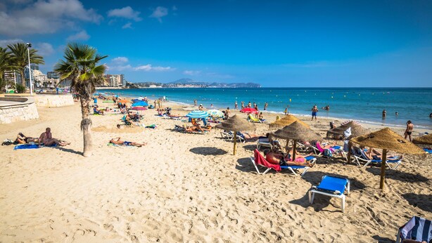 Una spiaggia con lettini, ombrelloni e palme.