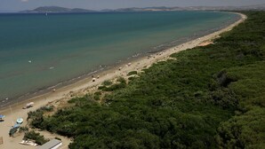 Ein Küstenstrand mit freiem Blick auf das Meer, einem sandigen Ufer und dichter Vegetation.