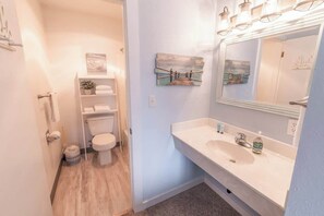 Combined shower/bathtub, hair dryer
