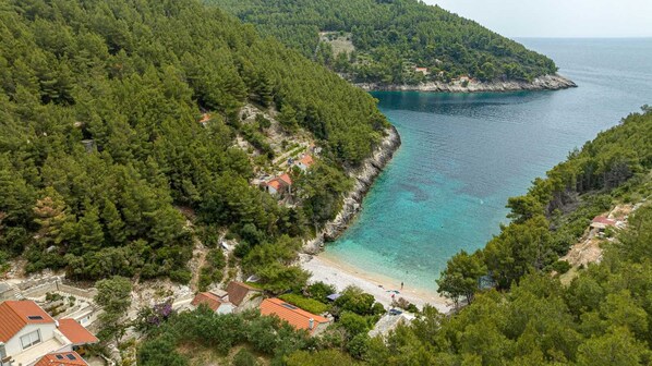 A coastal area with a beach, houses, and dense forest.