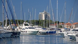 En småbåtshamn med flera segelbåtar förtöjda.