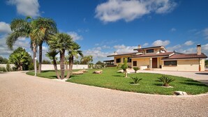 A modern two-story house with a well-maintained lawn, palm trees, and a gravel driveway.