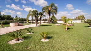 A well-maintained lawn with palm trees and a gravel path.