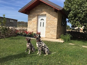 Parco della struttura
