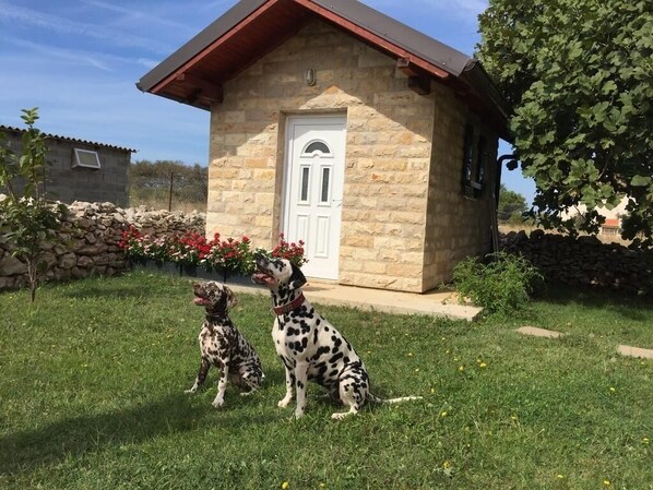 Property grounds - Apartment in Zaton (Zadar) with Seaview, Balcony, Air condition, WIFI (3796-4) (Nin)